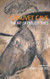 Chauvet Cave: The Art of Earliest Times