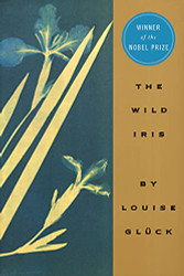Wild Iris