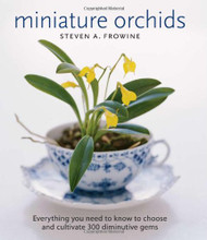 Miniature Orchids