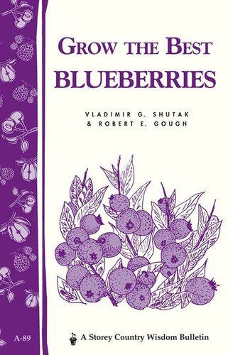 Grow the Best Blueberries