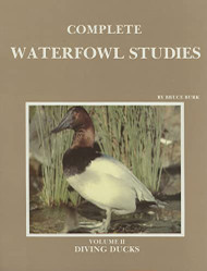 Complete Waterfowl Studies: Diving Ducks (002)