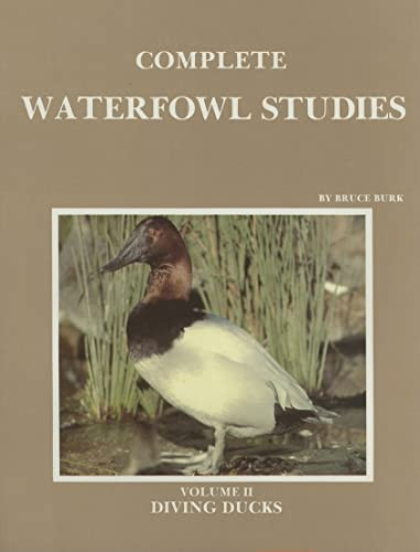 Complete Waterfowl Studies: Diving Ducks (002)