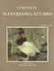 Complete Waterfowl Studies: Diving Ducks (002)