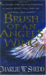 Brush of an Angel's Wing