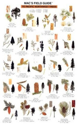 Mac's Field Guides: Northwest Trees