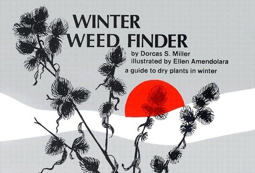 Winter Weed Finder: A Guide to Dry Plants in Winter