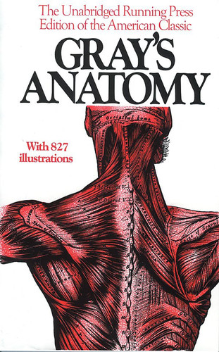 Anatomy Descriptive and Surgical 1901 Edition