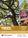 Trees: North & Central Florida