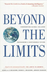 Beyond the Limits: Confronting Global Collapse Envisioning a