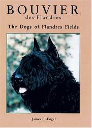 Bouvier Des Flanders: The Dogs of Flandres Fields