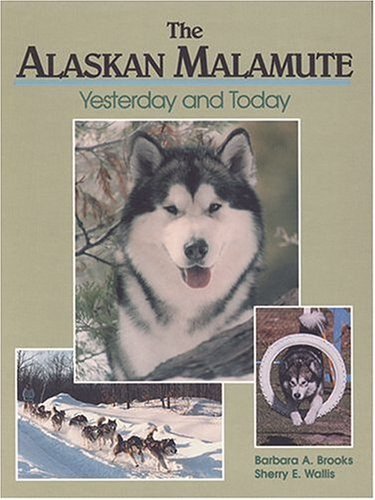 Alaskan Malamute: Yesterday and Today