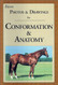 Equine Photos & Drawings for Conformation & Anatomy