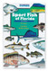 Florida Sportsman Sport Fish of Florida Book