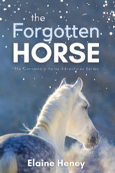 Forgotten Horse - Book 1 in the Connemara Horse Adventure Series