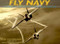 Fly Navy: Celebrating the First Century of Naval Aviation