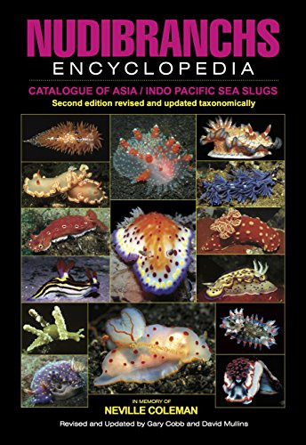 Nudibranchs Encyclopedia Nudibranchs Encyclopedia
