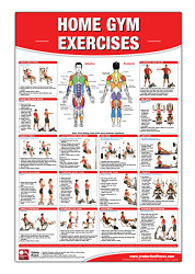 Home Gym Exercises Laminated Poster/Chart