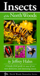 Insects of the North Woods