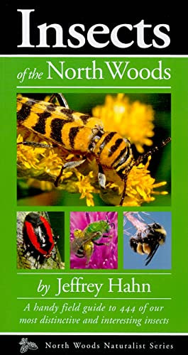 Insects of the North Woods