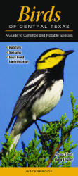 Birds of Central Texas: A Guide to Common & Notable Species - Quick