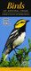 Birds of Central Texas: A Guide to Common & Notable Species - Quick