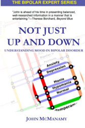 Not Just Up and Down: Understanding Mood in Bipolar Disorder