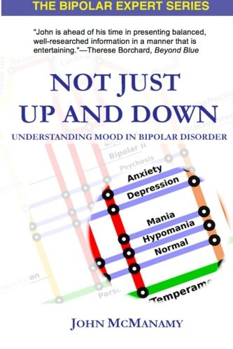 Not Just Up and Down: Understanding Mood in Bipolar Disorder