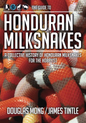 Guide to Honduran Milksnakes