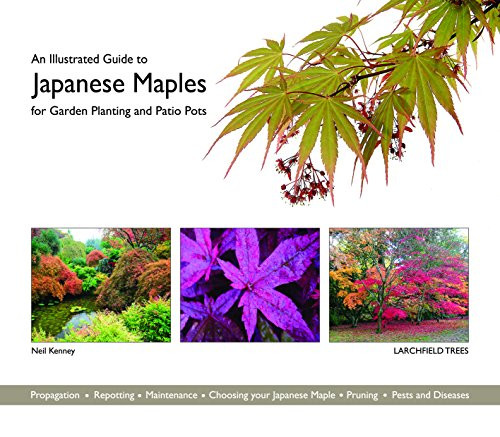 Illustrated Guide to Japanese Maples for Garden Planting and Patio