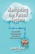 Navigating the Patent System
