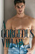 Gorgeous Villain (St. Mary's Rebels)