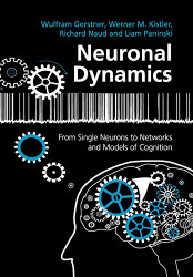 Neuronal Dynamics: From Single Neurons to Networks and Models