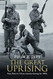 Great Uprising: Race Riots in Urban America during the 1960s