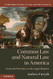 Common Law and Natural Law in America (Law and Christianity)
