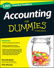 1 001 Accounting Practice Problems For Dummies