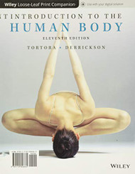 Introduction to the Human Body