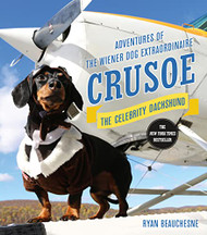 Crusoe the Celebrity Dachshund