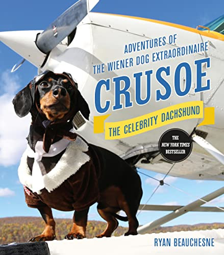 Crusoe the Celebrity Dachshund