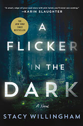 Flicker in the Dark: A Novel