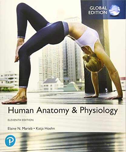 Human Anatomy Physiology
