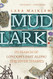 Mudlark: In Search of London's Past Along the River Thames