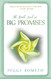 Little Book of Big Promises