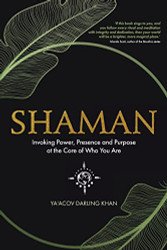 Shaman: Invoking Power Presence and Purpose at the Core of Who You