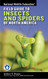 National Wildlife Federation Field Guide to Insects and Spiders