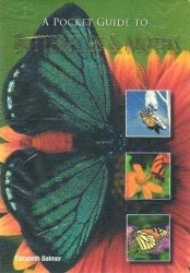 Pocket Guide to Butterflies & Moths