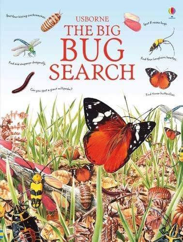 Big Bug Search