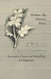 Hints on WoodCarving Recreative Classes and Modelling for Beginners