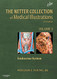 Endocrine System: The Netter Collection