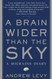 Brain Wider Than the Sky: A Migraine Diary