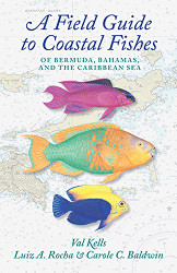 Field Guide to Coastal Fishes of Bermuda Bahamas and the Caribbean